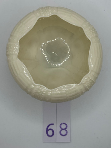 Belleek echinus sugar bowl - belleek,
