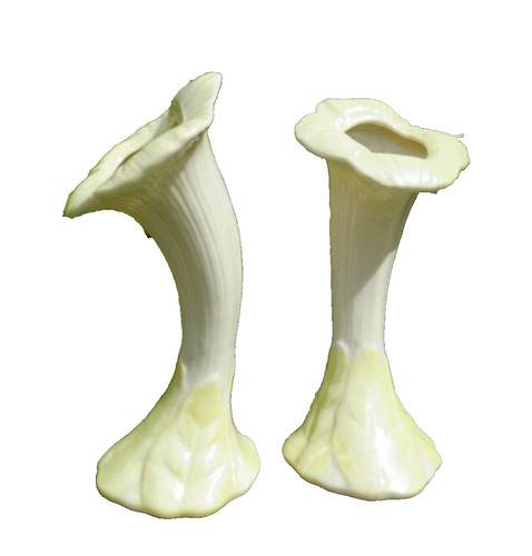 Belleek jack pulpit - in,