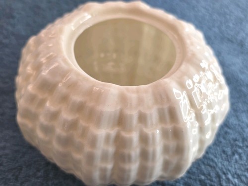 Antique belleek pottery sugar - belleek,