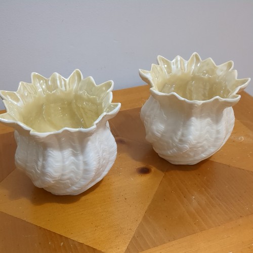 Beleek neptune twist pair - neptune,